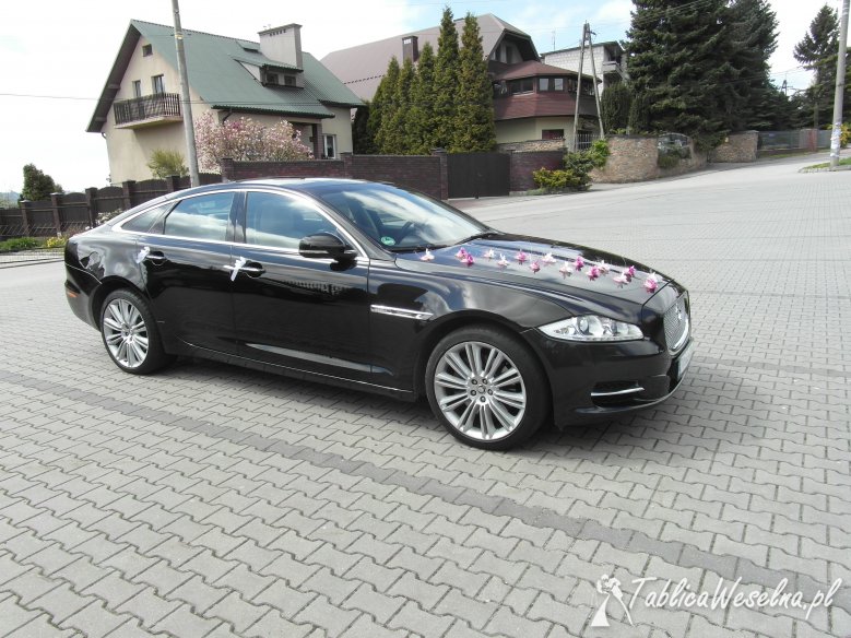 Auto na ślub Jaguar XJ