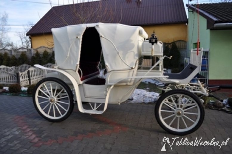 Auto do ślubu limuzyna , biała bryczka , Rzeszów , Krosno, Jasło , Podkarpacie 