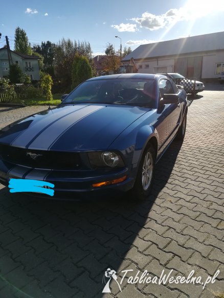 Ford mustang do ślubu 