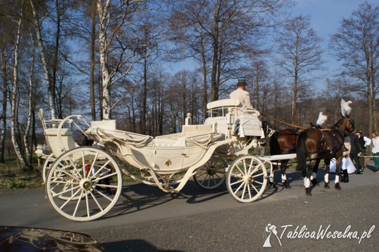 Sala weselna w Kotlinie Kłodzkiej - wesele w górach w Willi Diana