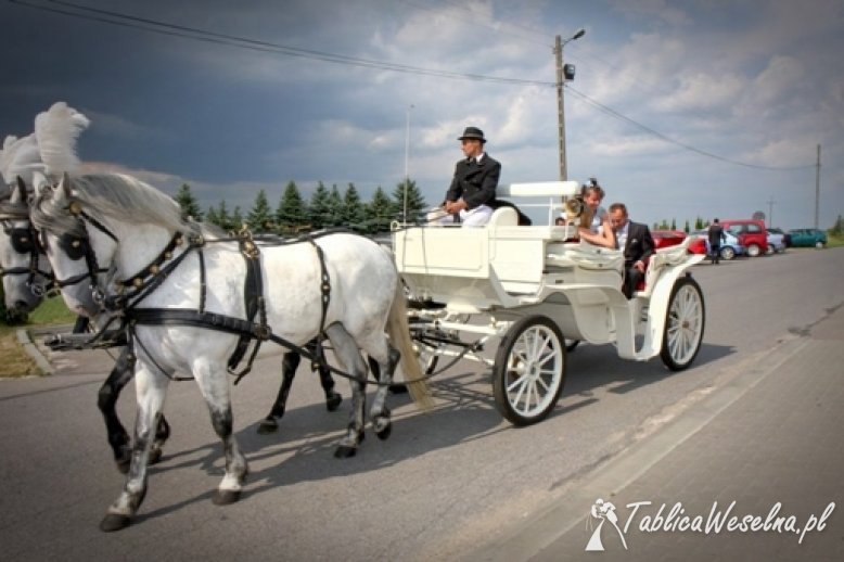 Auto do ślubu limuzyna , biała bryczka , Rzeszów , Krosno, Jasło , Podkarpacie 