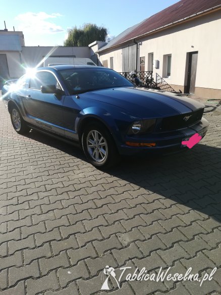 Ford mustang do ślubu 